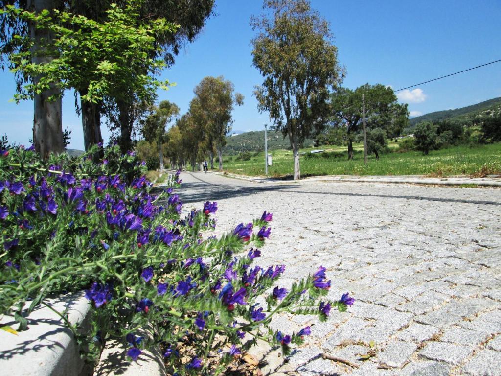 Zeybek 1 Pension Patara Exteriér fotografie